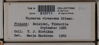 Image Associated With the Occurence